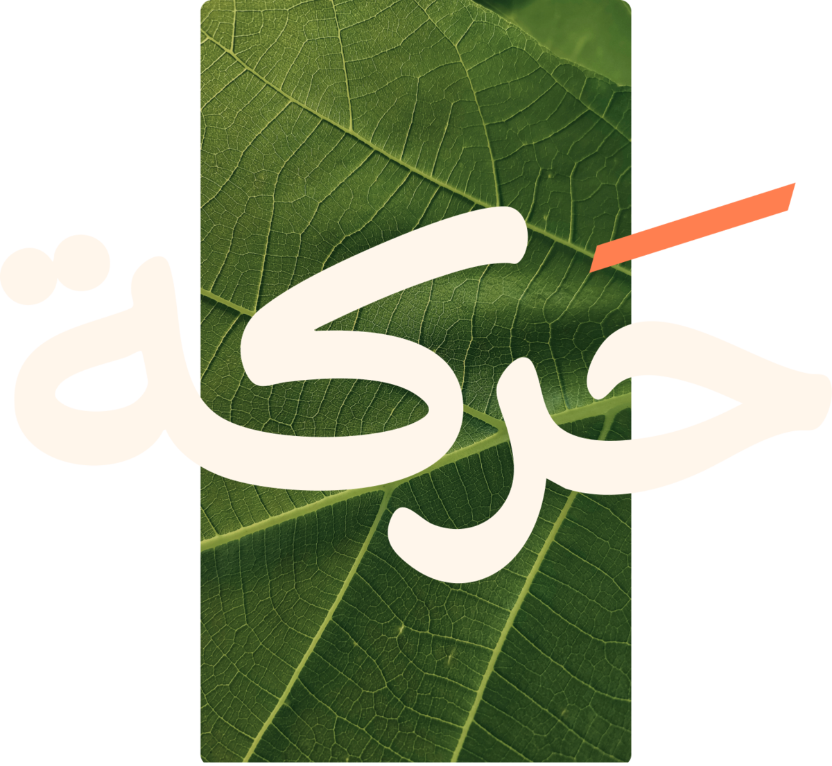 حركة